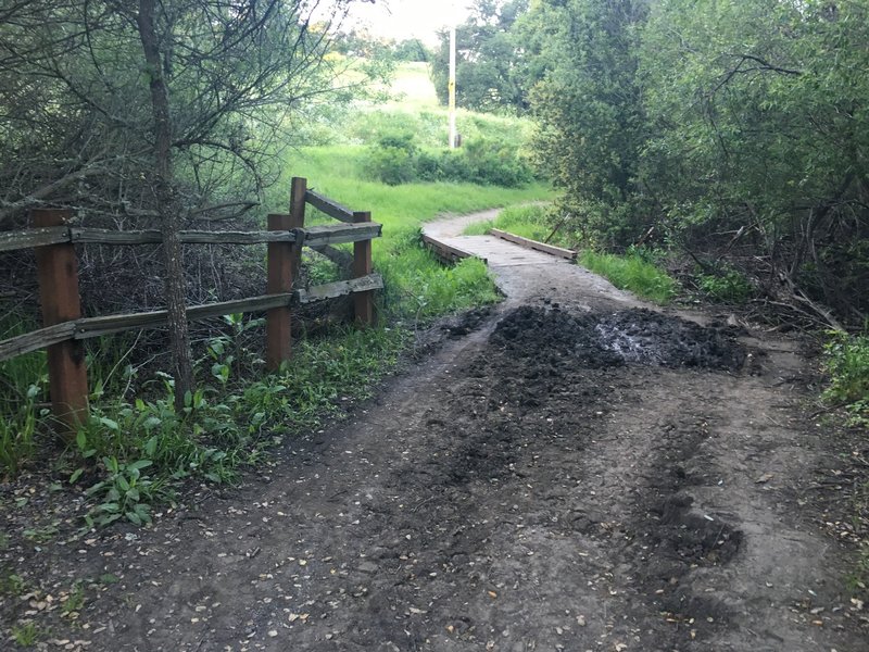 The trail turns to the right and crosses the little stream via the small bridge.