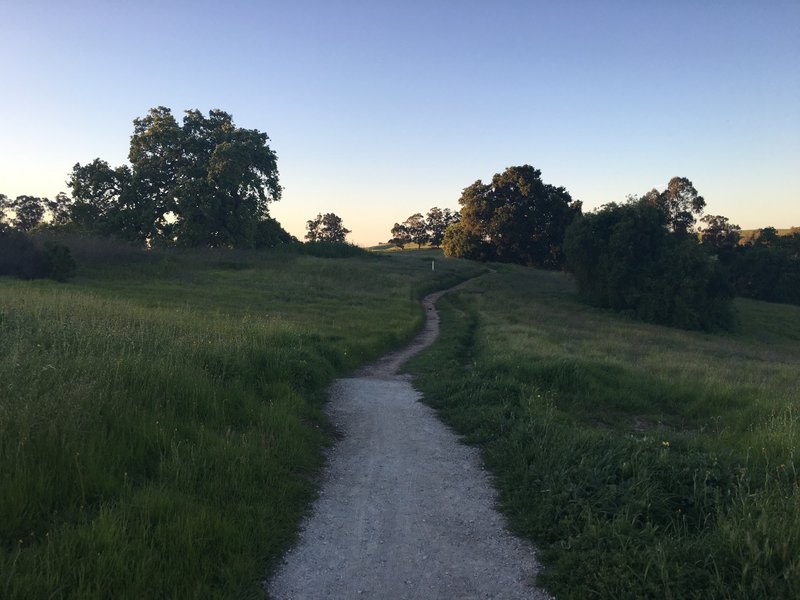 As the trail departs the Meadowlark Trail, it transforms from a gravel path to a narrower dirt path.