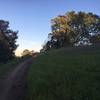 The trail as it descends along the hillside.