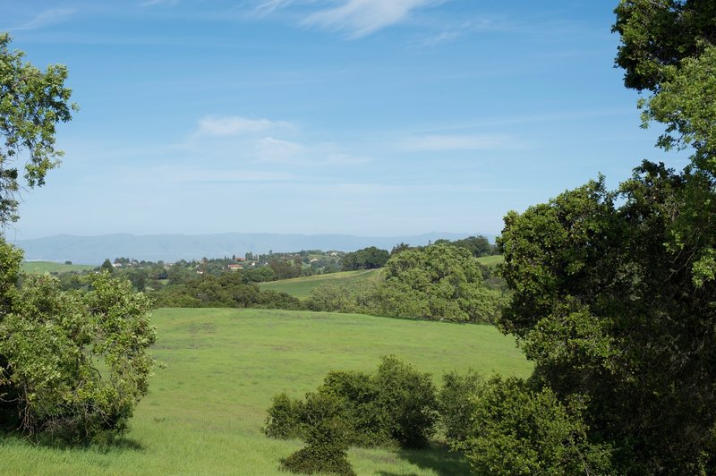 Looking through the trees, you can see the hills and mountains off in the distance.