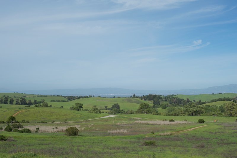 The Meadowlark Trail as it snakes its way through the preserve and the views South Bay.  The dirt trail on the left is the Bonus Hill Trail.