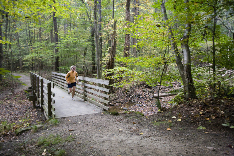 A runner enjoying the quiet of spring along Boston Run Trail. Photo by Sara Guren.