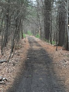 Further along the trail.