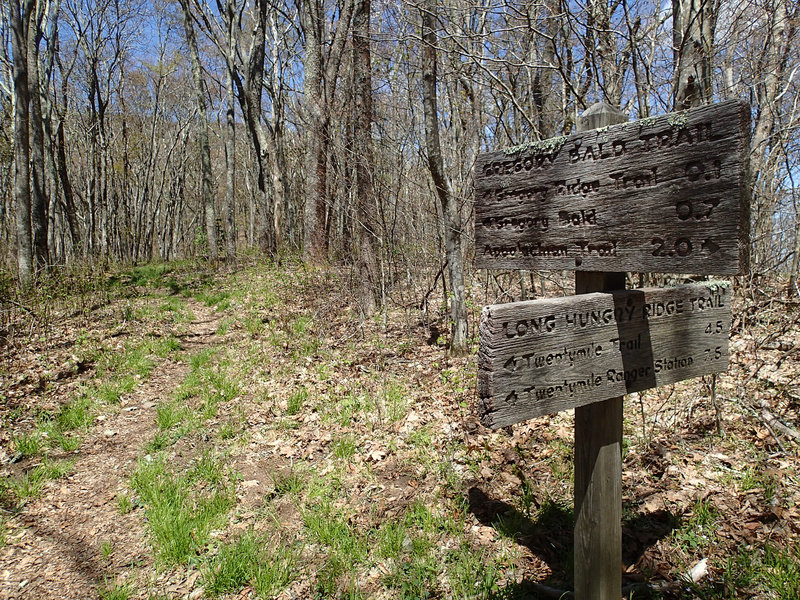 Junction of the Long Hungry Ridge Trail and Gregory Bald Trail. with permission from Mike Lerch