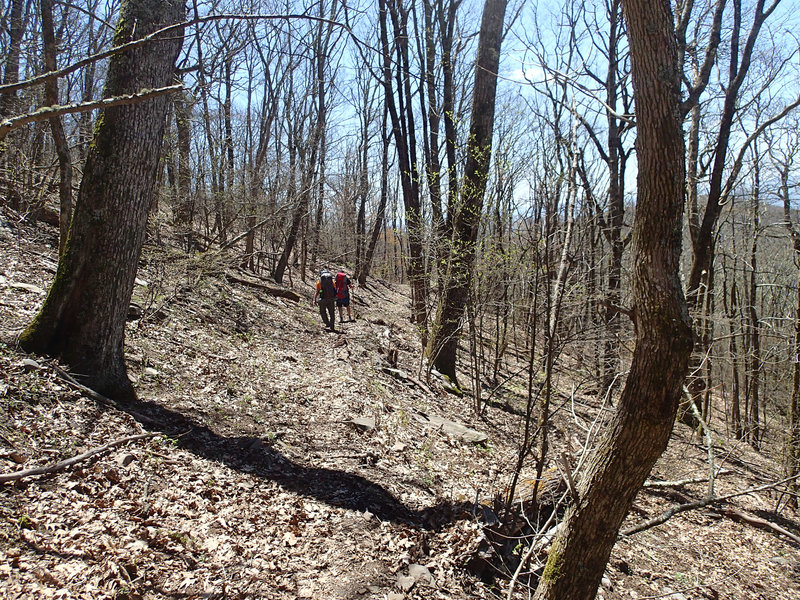 Long Hungry Ridge Trail. with permission from Mike Lerch