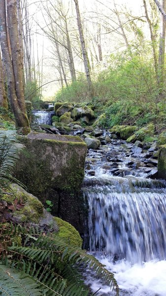 Creek alongside first 1.6 miles