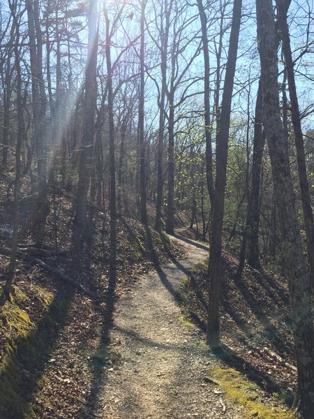 Trailhead coming up from Whittington Park.