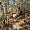 Trail has a consistent grade and is nicely covered with small gravel and packed dirt for the majority of the trail. Some areas have loose gravel and roots.