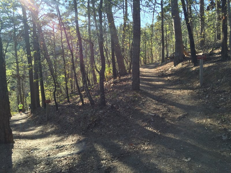 At the split stay to the right if you parked and started at Whittington Park. This is the end of the West Mountain Trail.