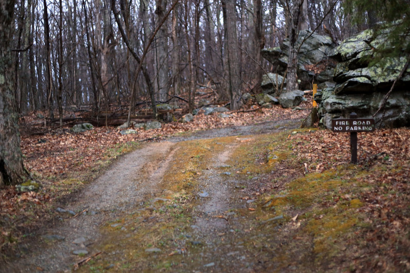 Start of Hawksbill Trail/Byrds Nest #2 Fire Road.