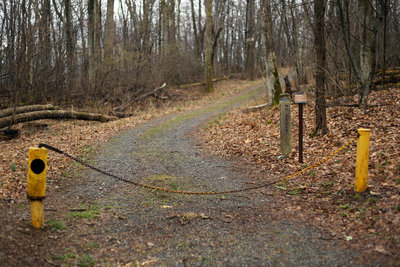 The start of the Pocosin Fire Road, which leads to the site of a former church and mountain settlement.