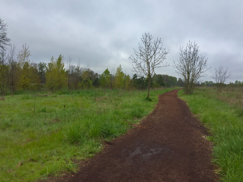 The grasslands of the Whilamut Natural Area are a nice alternative to the thick woodlands of the Pacific Coast. The Willamette River is just out of sight to the left.