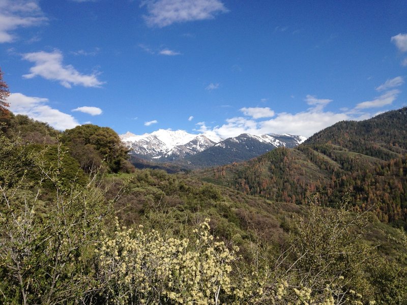 The first good vista of the Great Western Divide and Eagle Scout Peak.