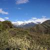 The first good vista of the Great Western Divide and Eagle Scout Peak.