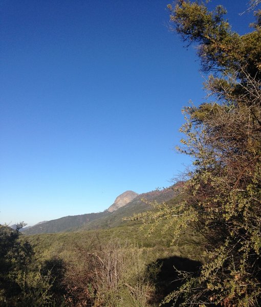 Moro Rock from the trail.