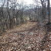 A short descent along the Perry Lake Trail.