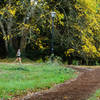 Running on Pre's Trail.