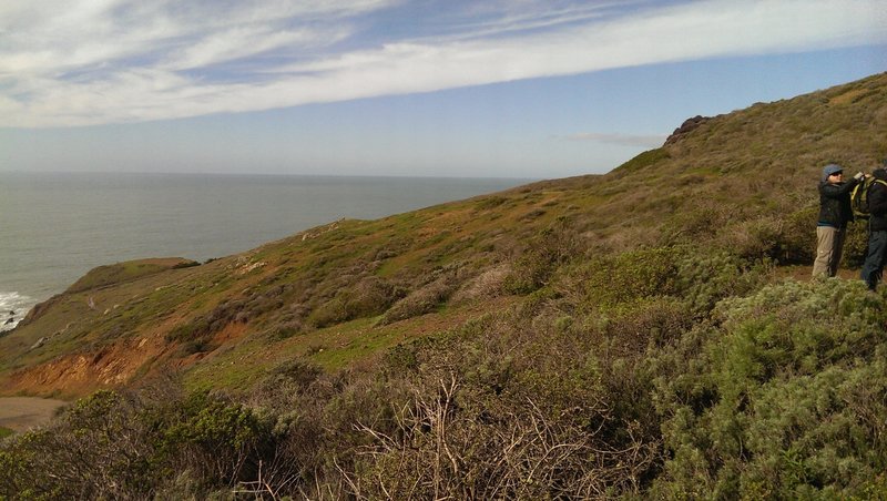 Looking out near Battery Townsley.