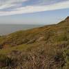 Looking out near Battery Townsley.