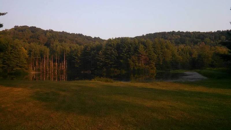 Overlooking the pond near the entrance to Lamping Short Loop.