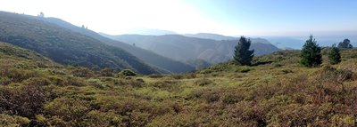 View from Sweeney Ridge.