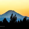 Great views of Rainier are common from the Soos Creek Trail.