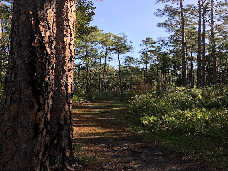 Beginning of the trail.