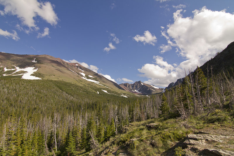 View from Aster Park looking up Aster Creek drainage