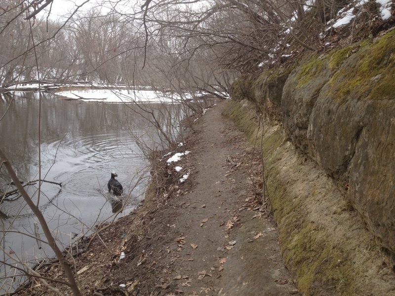 Off Leash Rec Area on the MSPT.