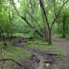 A spring-fed creek in the park.