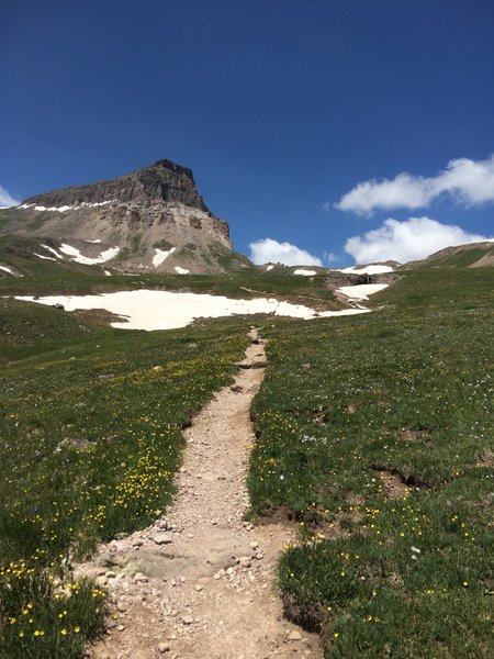 View of the peak from the Ridge Stock Driveway, late July.