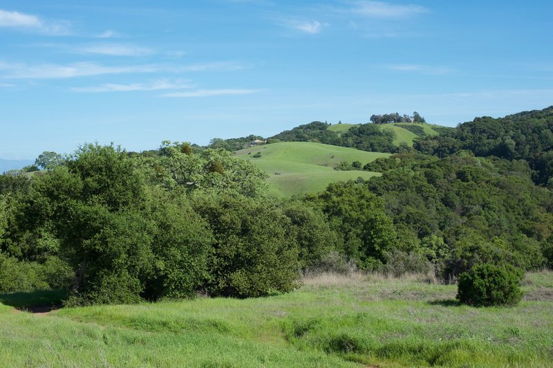 Views of the surrounding hills.