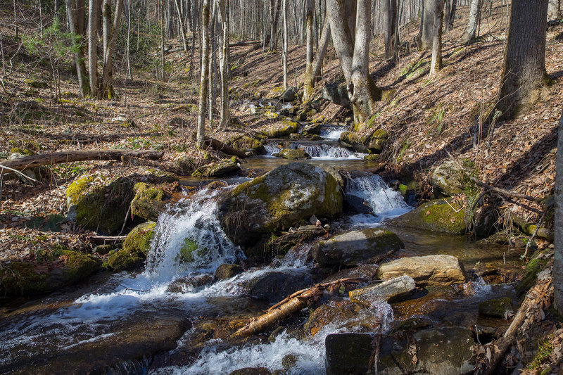 West Fork Fisher Creek at Pinnacle Park on MST Segment 1B. Photo by Jeff Clark, www.internetbrothers.org.