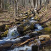 West Fork Fisher Creek at Pinnacle Park on MST Segment 1B. Photo by Jeff Clark, www.internetbrothers.org.