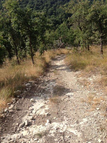 The trail from Poiago.