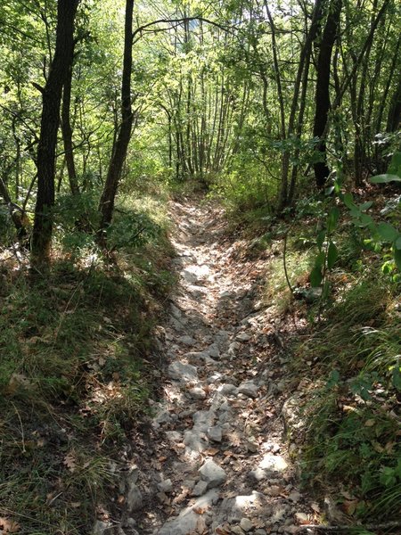 A more technical section of the trail from Poiago