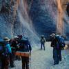 The group about to dive deep, deep into the canyon.