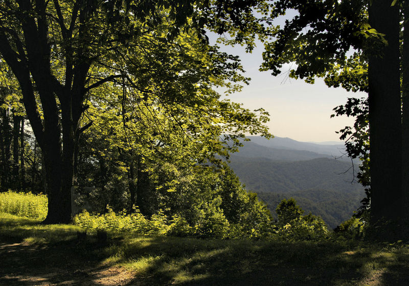 A Break in the Trees at Jumping Off Rock Overloo. Photo taken and copyrighted by Hank Waxman. Used with permission.