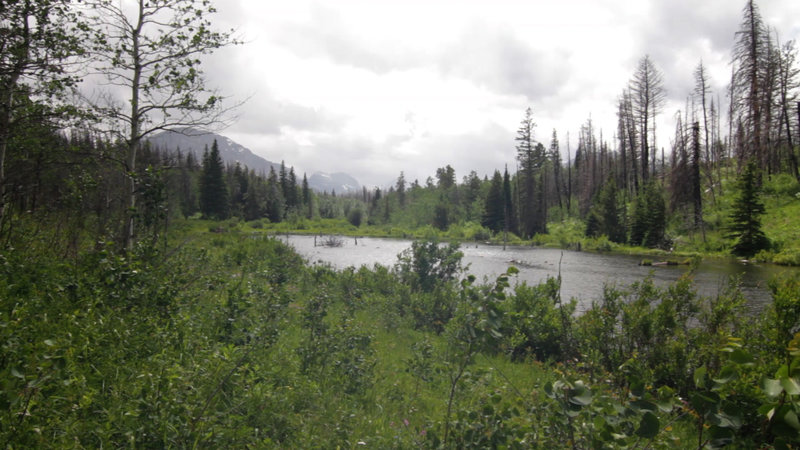 View of Beaver Pond