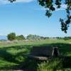 A bench rests under a shade tree as the trail can be seen in the background. This is a good place to rest before continuing on your way.