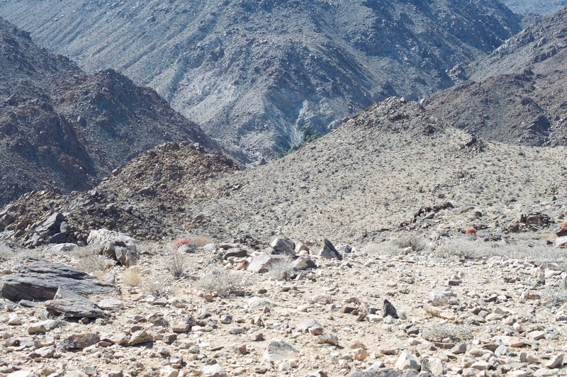 The palm trees of the oasis peak out from behind the hill in the distance. The trail descends almost 300 feet to those trees.