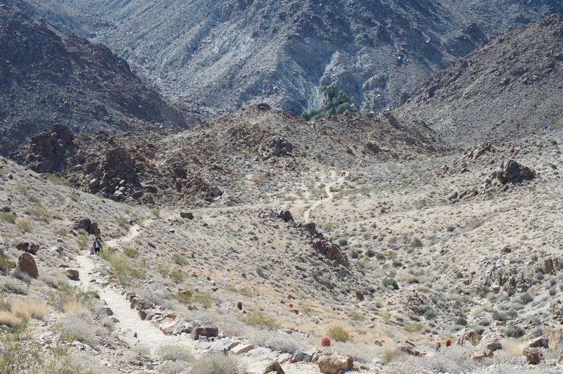 The trail as it descends towards the oasis. On the return trip, you have to return up this trail.