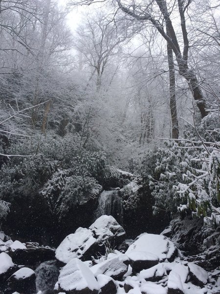 Leave Only Your Footprints. The scene from Grotto Falls after a February morning snow fall in the Great Smoky Mountains National Park. From Dec. to mid-March, the trail begins at the Rainbow Falls Trailhead (6 miles r/t). Rest of the year, you can begin at Trillium Gap Trailhead for a 2.6-mile hike.