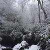 Leave Only Your Footprints. The scene from Grotto Falls after a February morning snow fall in the Great Smoky Mountains National Park. From Dec. to mid-March, the trail begins at the Rainbow Falls Trailhead (6 miles r/t). Rest of the year, you can begin at Trillium Gap Trailhead for a 2.6-mile hike.