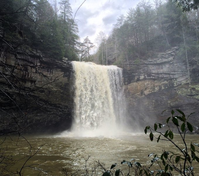 Foster Falls