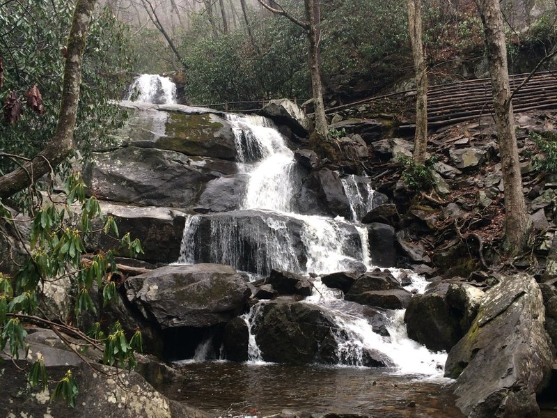 Hike the popular 2.3 mile roundtrip trail to reach the 80 foot Laurel Falls in the Great Smoky Mountains National Park. The falls is broken up in an upper and lower section with a narrow bridge cutting across. This photo is shot at the bottom of the lower section of the falls.