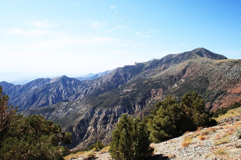 Telescope Peak.