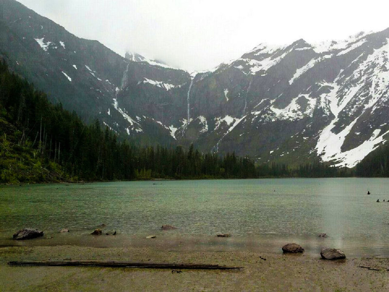 A chilly, rainy day in May at Avalanche Lake.