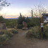 The start at the trailhead.