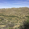 The Wild Burro Trail singletrack is visible in the distance along with the Tortolita Traverse Trail road leading up over the mountains.